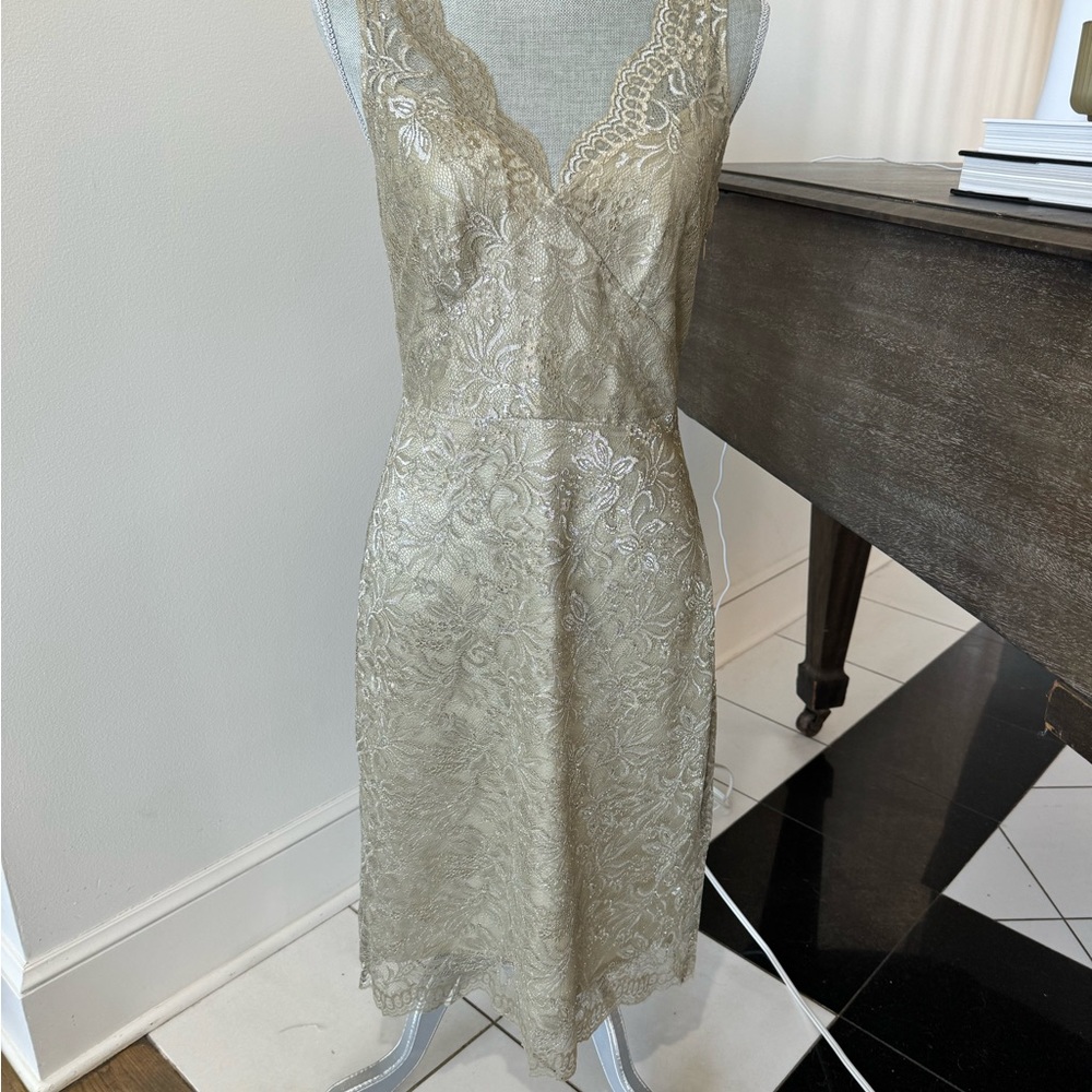 Vintage, metallic BCBGMaxAzria cocktail dress.